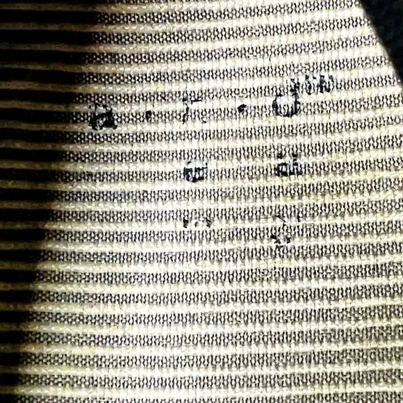 A New Day Target Sneakers Chunky Canvas Textile Black Lace Women 7 Chucks Preppy - Picture 2 of 14